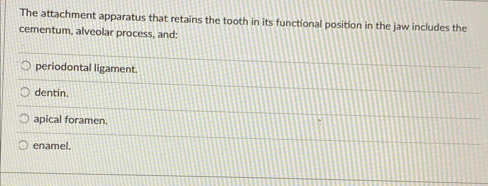 The attachment apparatus that retains the tooth in