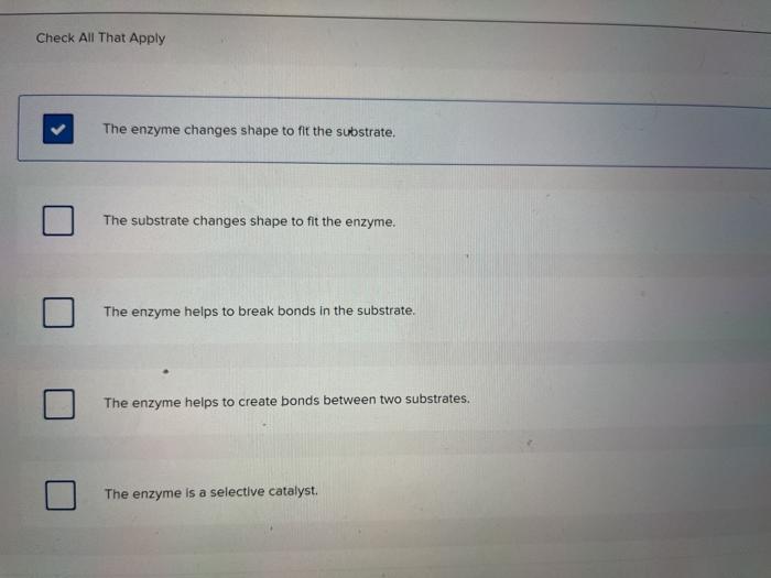 solved-check-all-that-apply-the-enzyme-changes-shape-to-fit-chegg