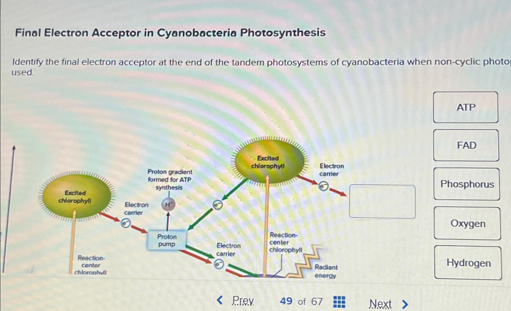 solved-final-electron-acceptor-in-cyanobacteria-chegg