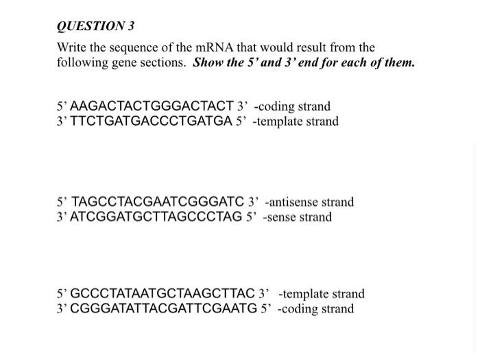 Solved QUESTION 3 Write the sequence of the mRNA that would | Chegg.com