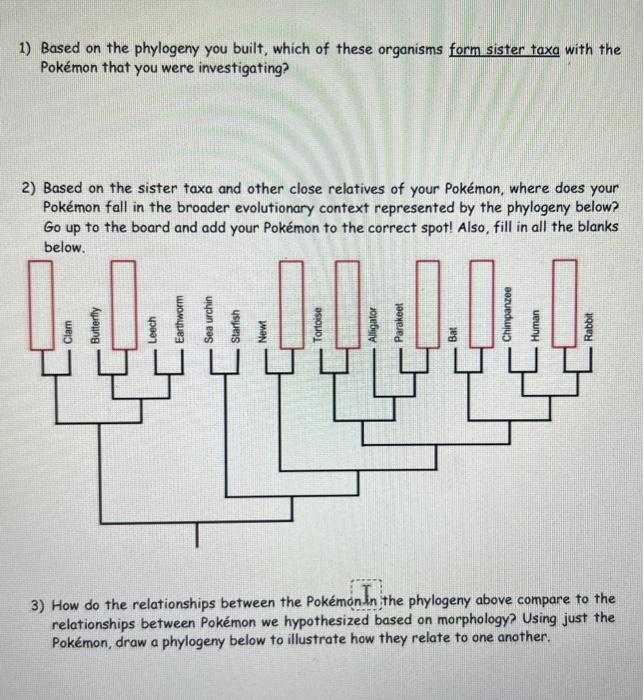 Solved 1) Based On The Phylogeny You Built, Which Of These | Chegg.com