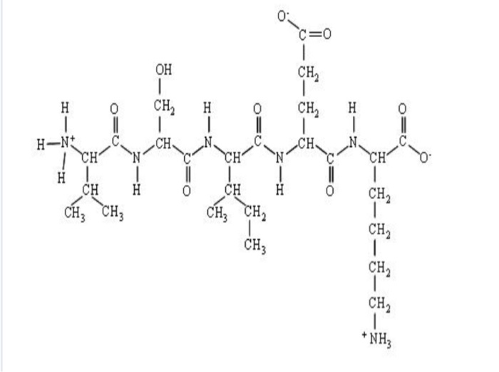 Solved 10. The peptide shown has the amino acid sequence: A. | Chegg.com