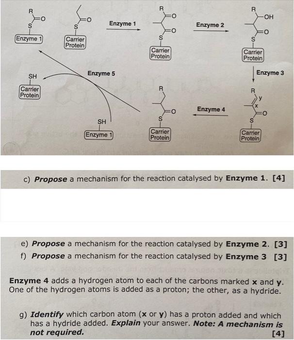 Solved c) Propose a mechanism for the reaction catalysed by | Chegg.com