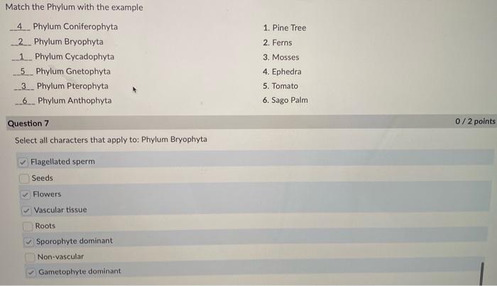 Solved Match the Phylum with the example 4. Phylum | Chegg.com