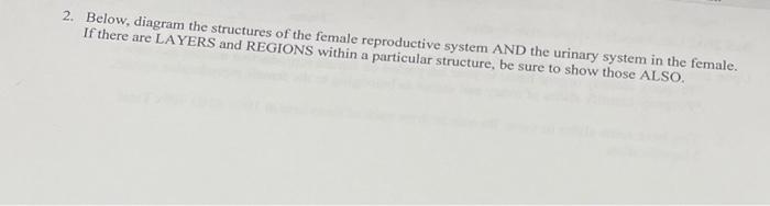 female reproductive system case study and questions answers