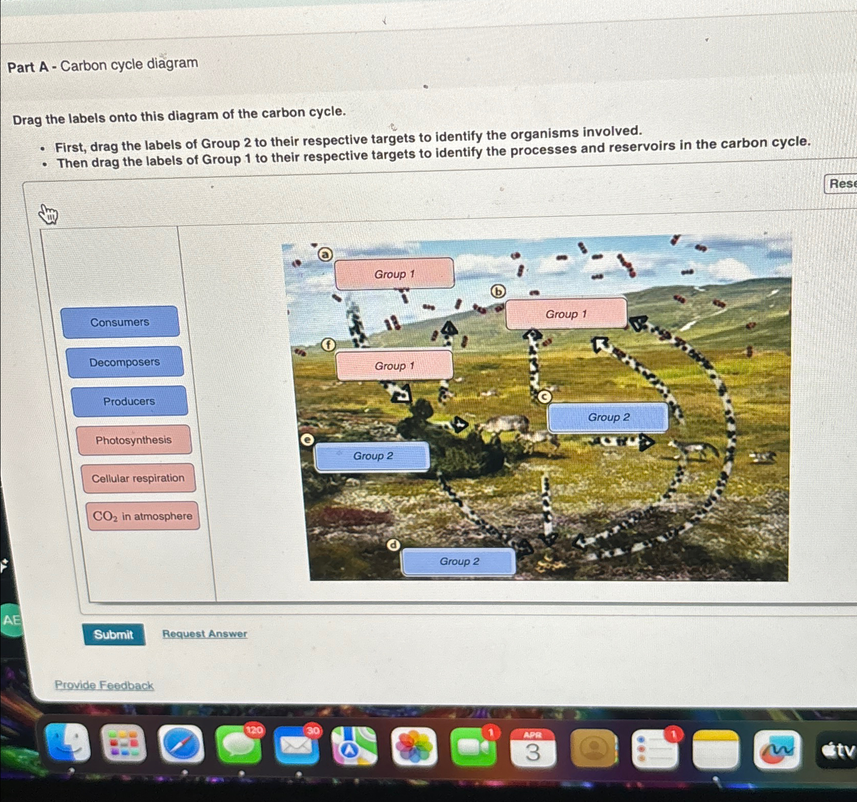 Solved Part A - ﻿Carbon cycle diagramDrag the labels onto | Chegg.com