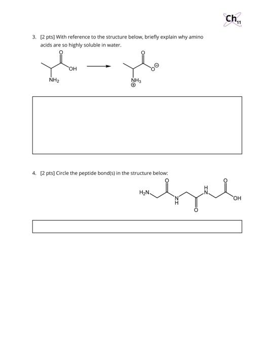 Solved Ch, Chemistry 11 Identifying Functional Groups Total: | Chegg.com