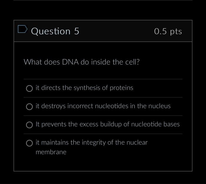 Solved Question 5 What does DNA do inside the cell? 0.5 pts | Chegg.com
