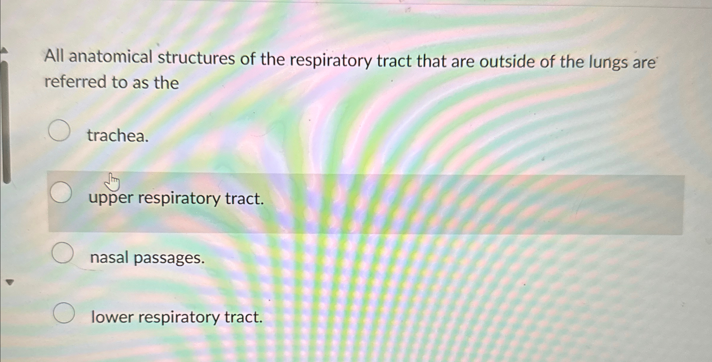 Solved All anatomical structures of the respiratory tract | Chegg.com