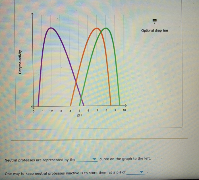 Solved Optional drop line M Enzyme activity 5 6 7 8 9 10 pH | Chegg.com