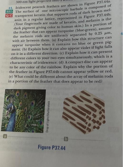 Solved 44. Iridescent peacock feathers are shown in Figure | Chegg.com