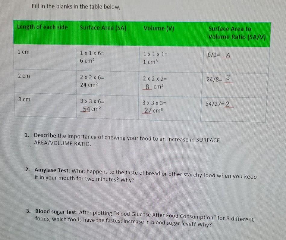 solved-fill-in-the-blanks-in-the-table-below-length-of-each-chegg