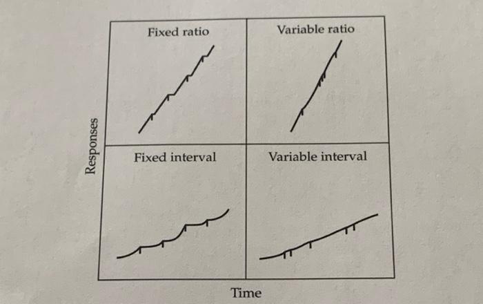 Fixed ratio Variable ratio Responses Fixed interval | Chegg.com