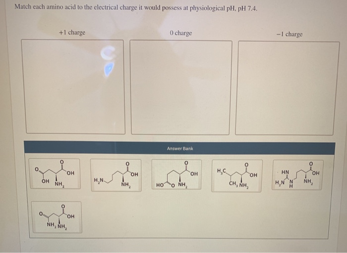 Solved Match each amino acid to the electrical charge it