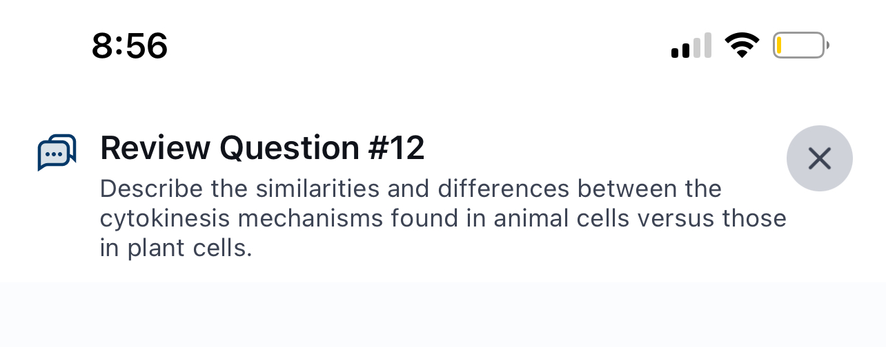 Solved Describe the similarities and differences between the | Chegg.com
