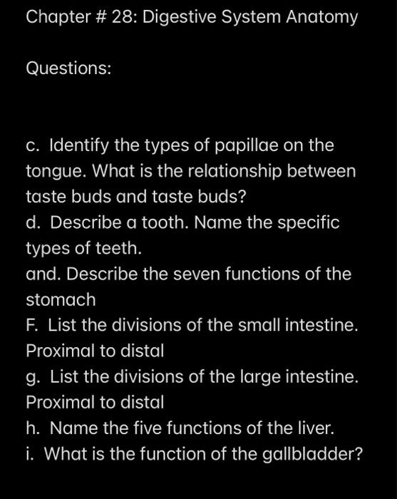 Solved Chapter 28 Digestive System Anatomy Questions c.