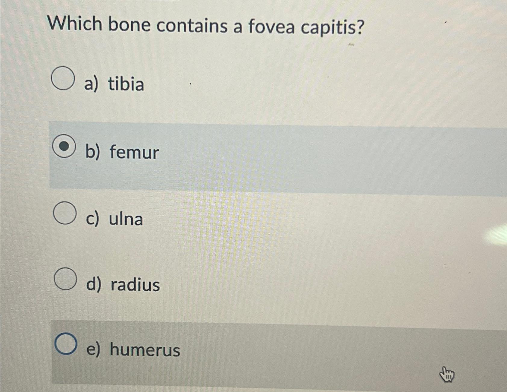 Solved Which bone contains a fovea capitis?a) ﻿tibiab) | Chegg.com