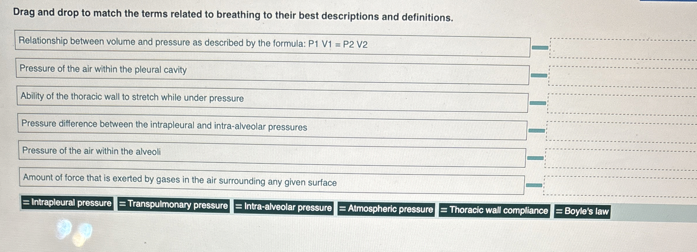 Solved Drag and drop to match the terms related to breathing | Chegg.com