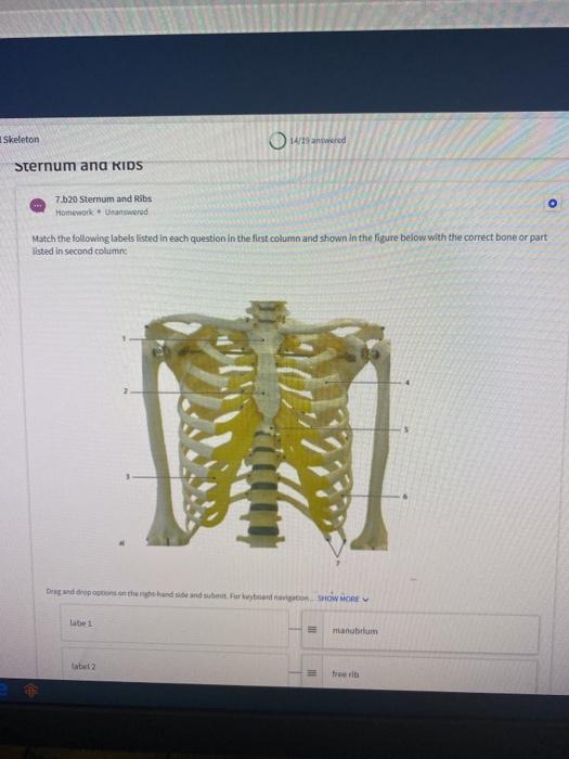 Solved DO 3101 19104 - Spring 2001- X AD Lab Report | Chegg.com