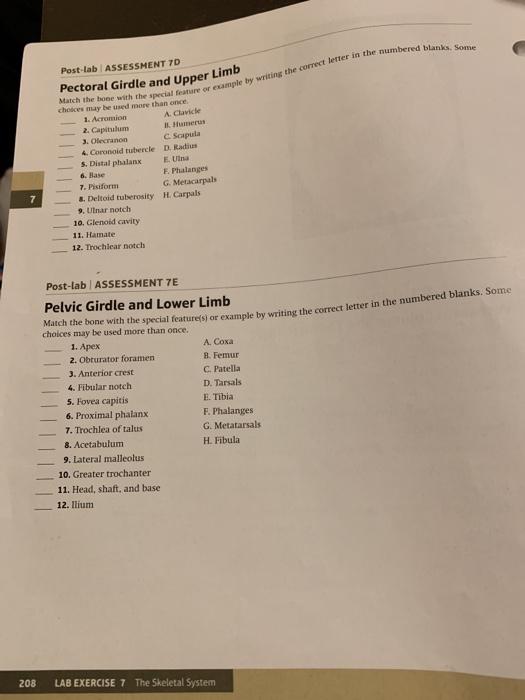 Solved Post-lab Assessments CHECK WHAT YOU LEARNED Post-lab | Chegg.com