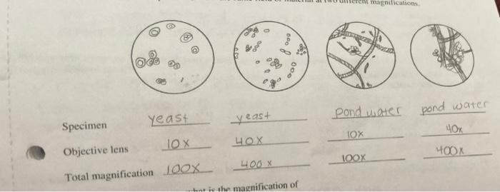 Solved ent magnifications 0 000 3 . 28 3 000 pond water pond | Chegg.com