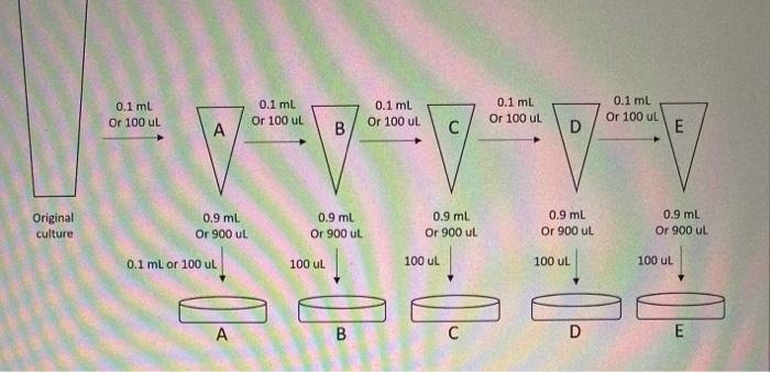 Solved 0.1 ml Or 100 UL 0.1 ml Or 100 UL 0.1 ml Or 100 L 0.1 | Chegg.com
