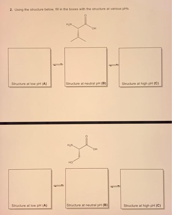Solved 2. Using the structure below, fill in the boxes with | Chegg.com