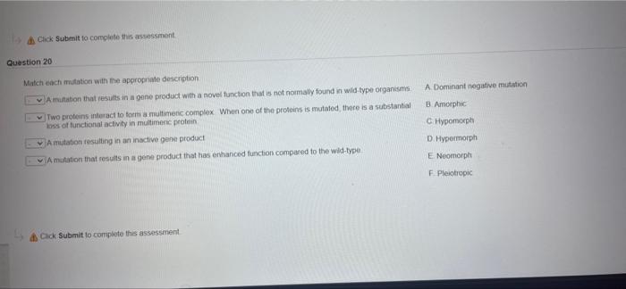 Solved Click Submit to complete this assessment Question 20 | Chegg.com