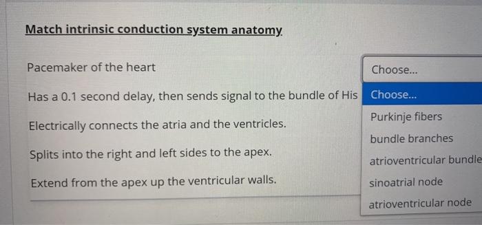 Solved Match intrinsic conduction system anatomy. Pacemaker | Chegg.com