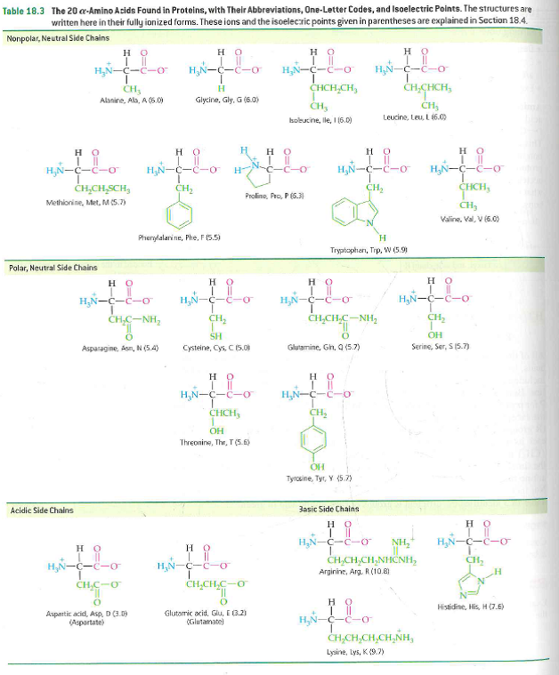 Solved: What Is The Structure Of The α-keto Acid Formed By Tran 