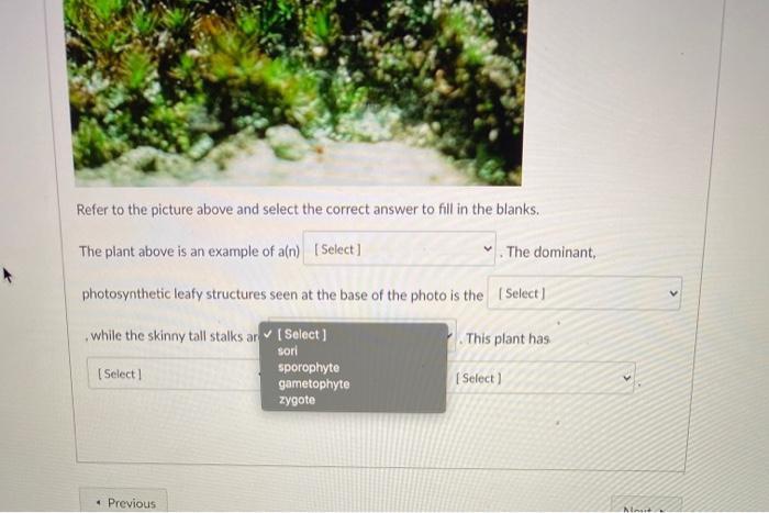 Solved Question 3 3 pts What are the similarities and | Chegg.com