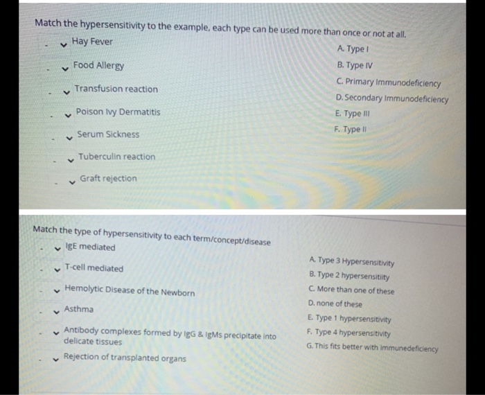 type 3 hypersensitivity examples