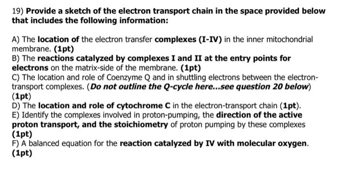Solved 19) Provide a sketch of the electron transport chain | Chegg.com