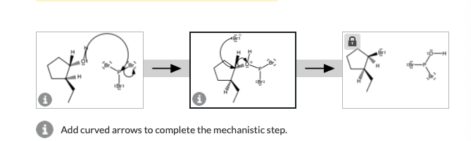Solved Identify both common elementary steps in the above | Chegg.com