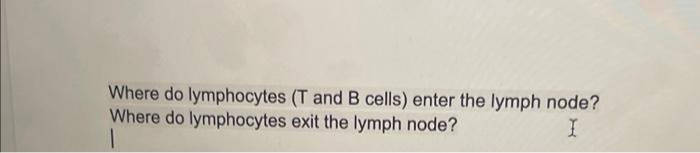 naïve t cells and b cells enter the lymph node through the