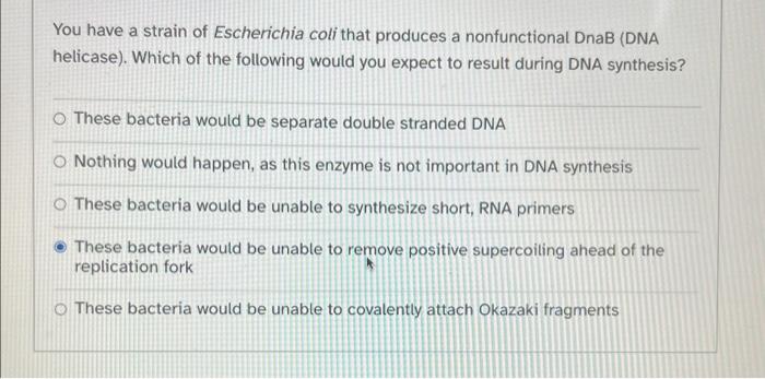 Solved You have a strain of Escherichia coli that produces a | Chegg.com