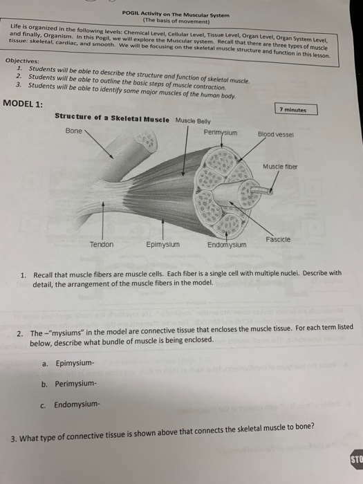 Pogil Worksheets