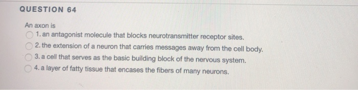 What carries messages to the cell body of a neuron Peripheral Nervous System Ck 12 Foundation