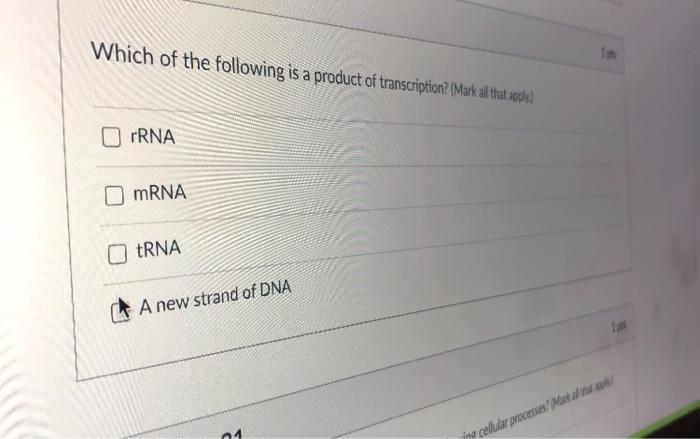 Solved 15 RNA Polymerase And DNA Polymerase Differ From Each | Chegg.com