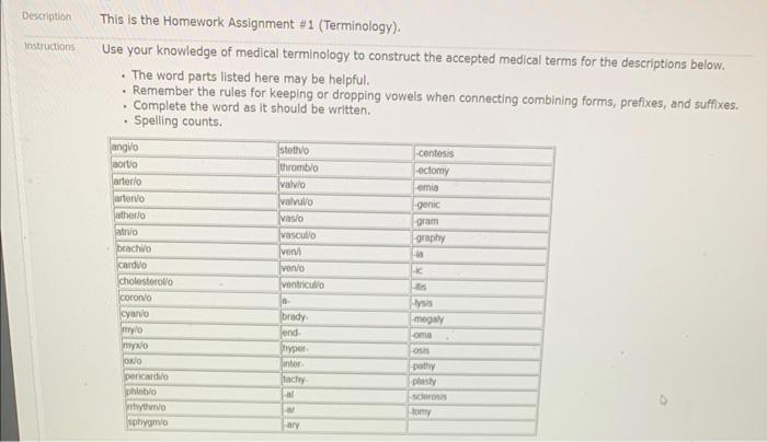 assignment 12 chapter homework medical terminology