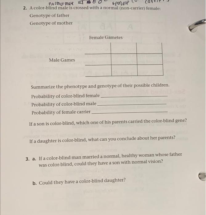 solved-2-a-color-blind-male-is-crossed-with-a-normal-chegg