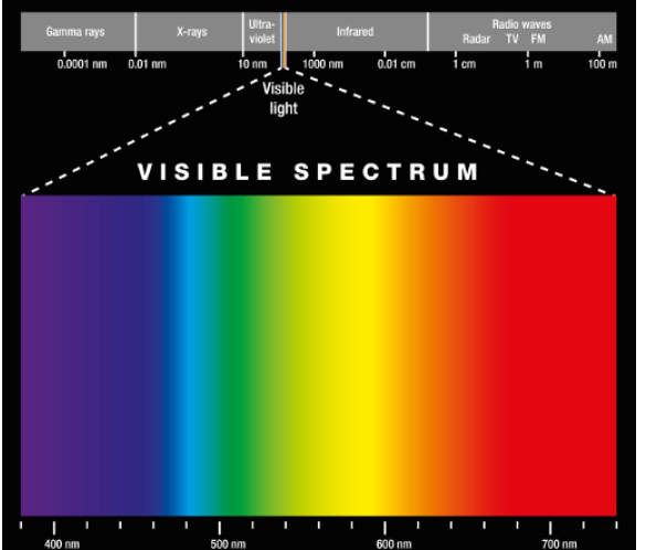 Solved A scientist is studying the light emitted by several