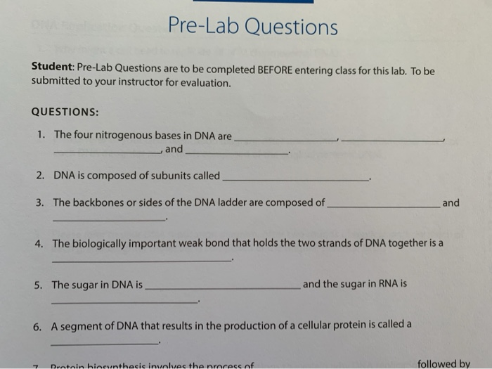 choosing-the-right-dna-ladder-minipcr-bio