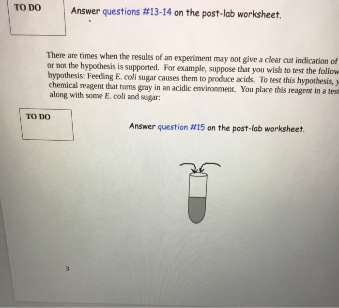 ACTIVITY 1 Scientific Method, Hypotheses, and