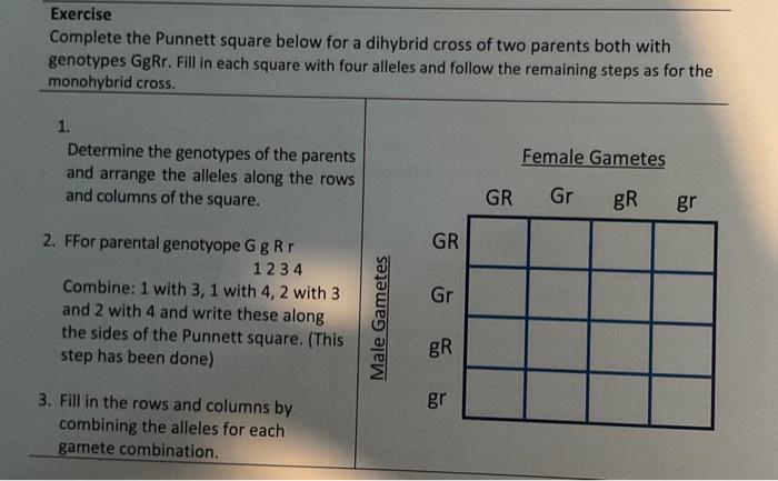Solved Exercise Complete the Punnett square below for a | Chegg.com