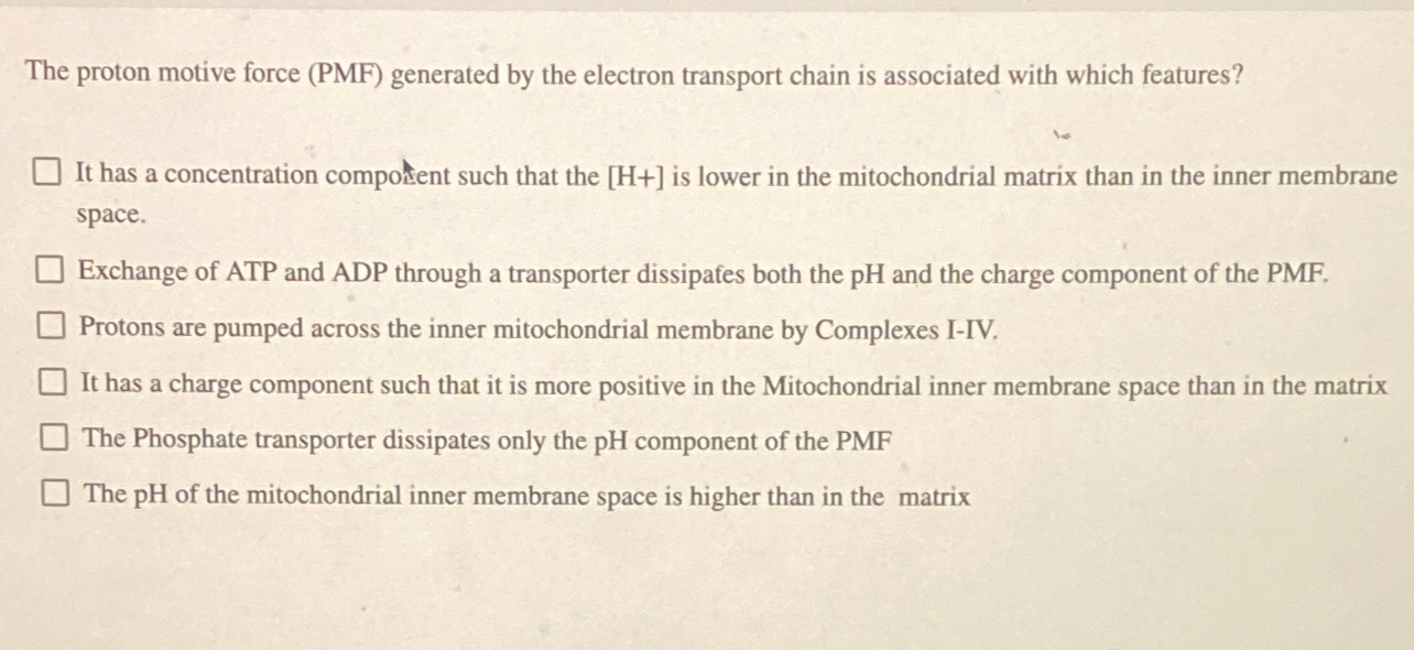 Solved The proton motive force (PMF) ﻿generated by the | Chegg.com