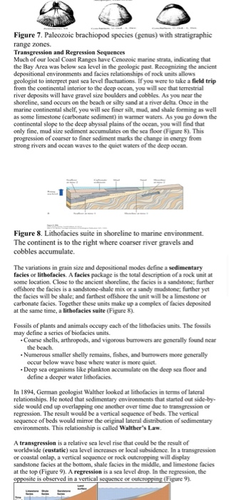 And (3) An Interval Biozone. Draw The Boundaries Of | Chegg.com