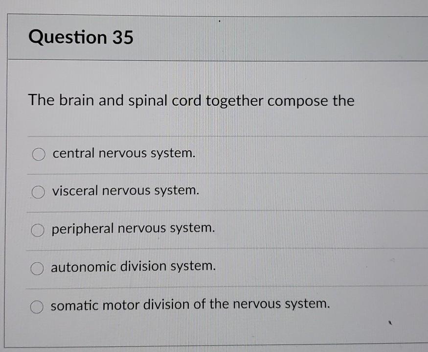 Solved Question 35 The brain and spinal cord together | Chegg.com