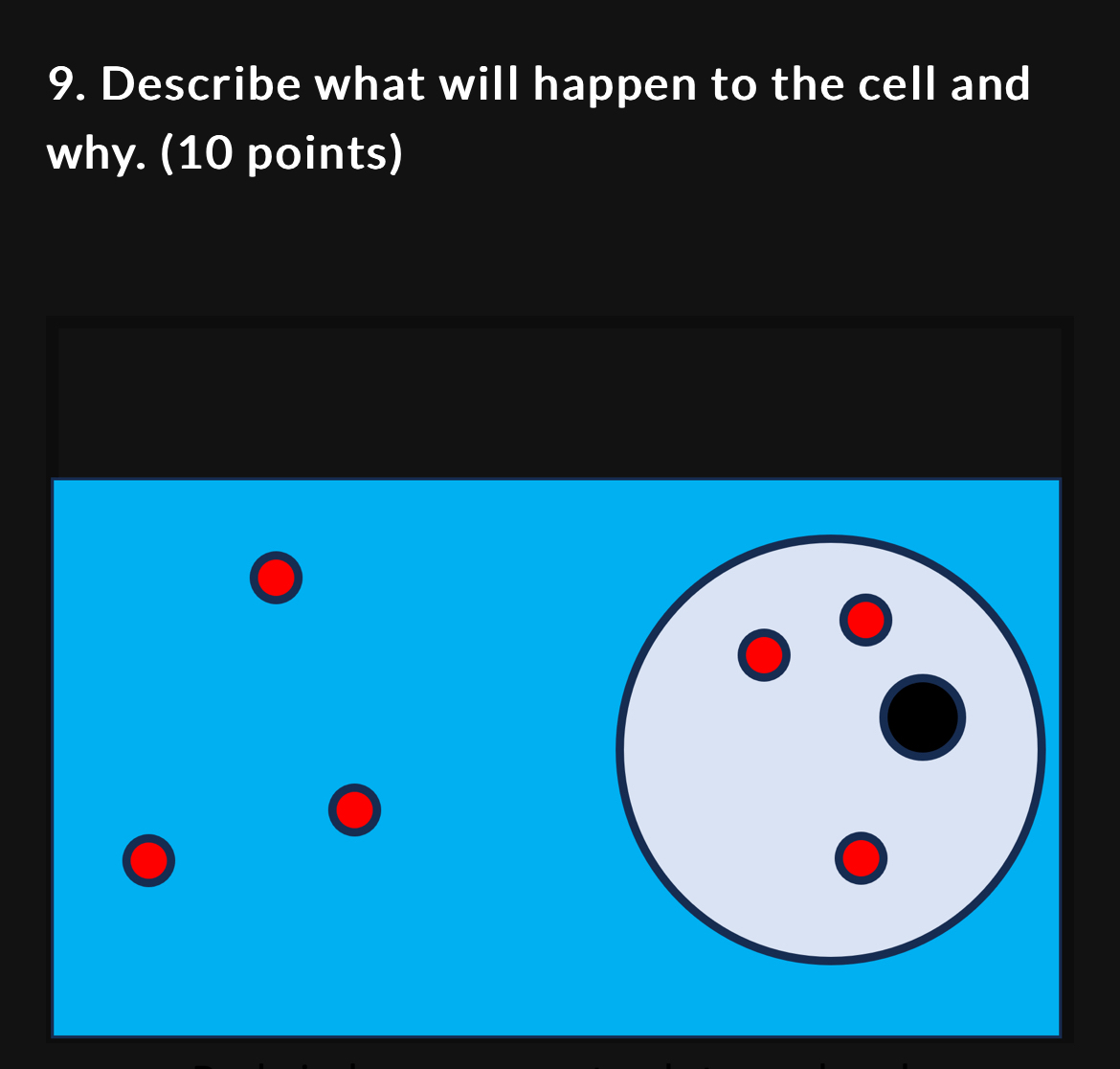 Solved Describe what will happen to the cell and why. (10 | Chegg.com