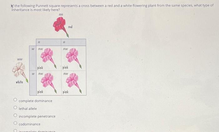 Solved the following Punnett square represents a cross | Chegg.com